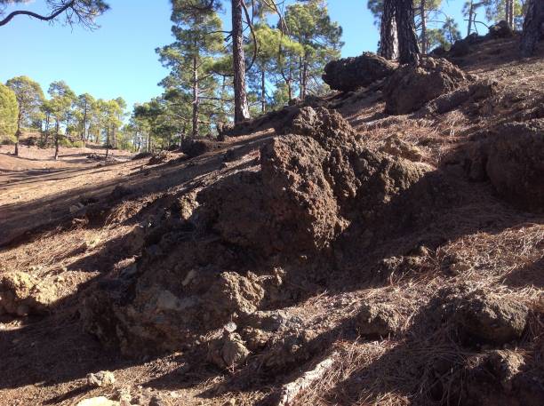 istock Rocky landscape with trees under clear sky 2190853636