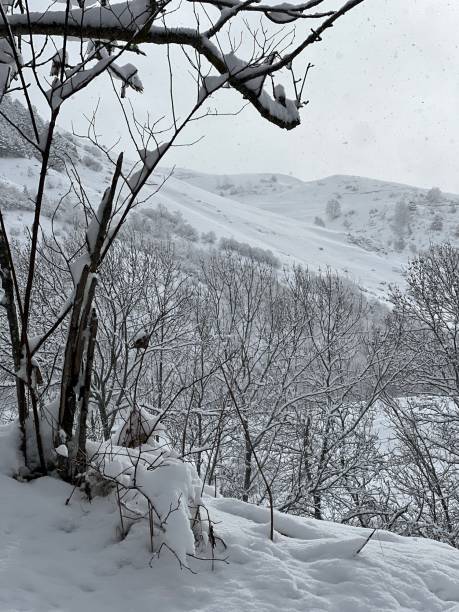 istock Aran valley and Baqueira ski Resort 2190856154