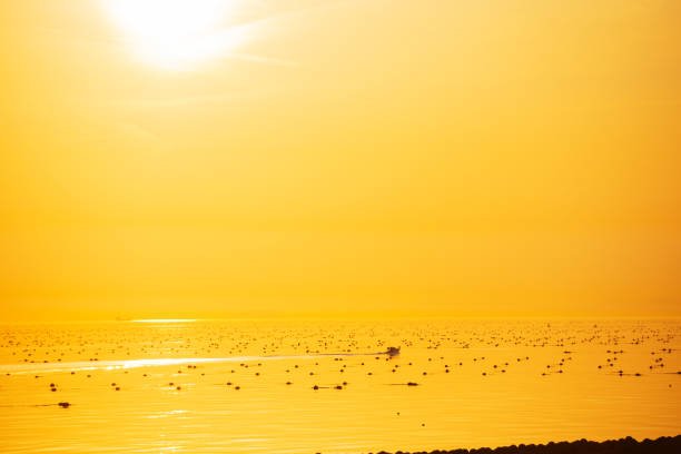 Akashi sea in the evening, Hyogo