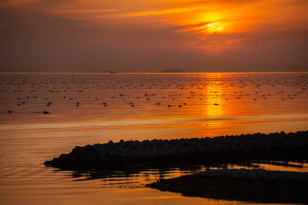 Akashi sea in the evening, Hyogo