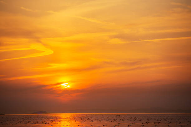 Akashi sea in the evening, Hyogo