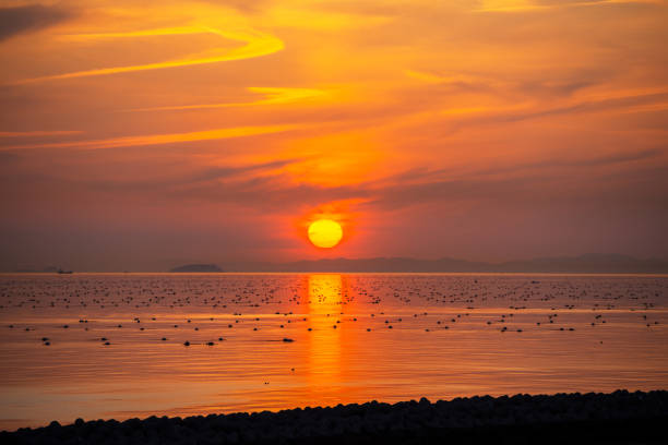 Akashi sea in the evening, Hyogo