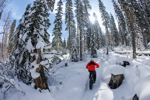 Winter Fat Bike Ride on a Sunny Day