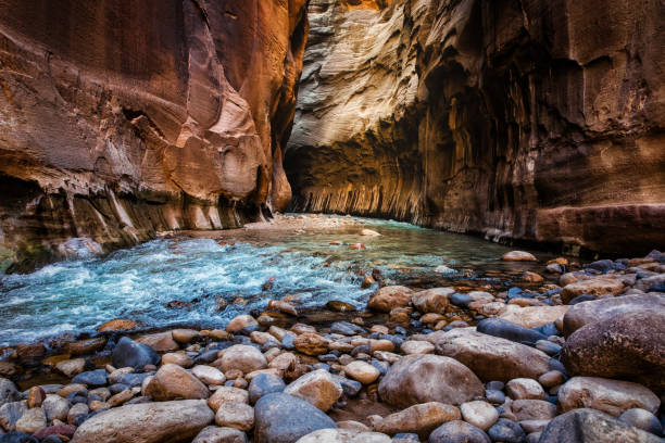 istock River Flowing Through Rocky Canyon in Zion 2190868012