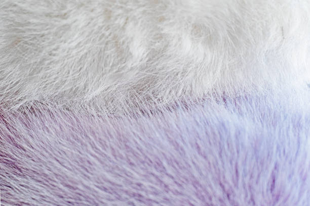 istock abstract shaggy delicate background of fluffy light fur 2190868100