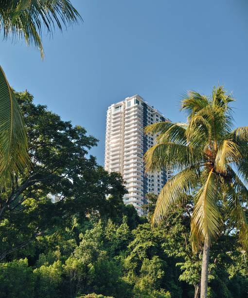 istock A tall apartment skyscraper amidst green trees with a clear blue sky backdrop 2190869252