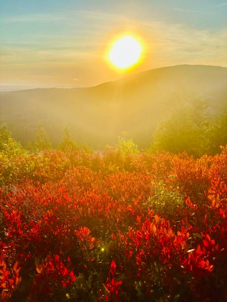 istock Acadia National Park, Sunset and Fall Coloring 2190873346