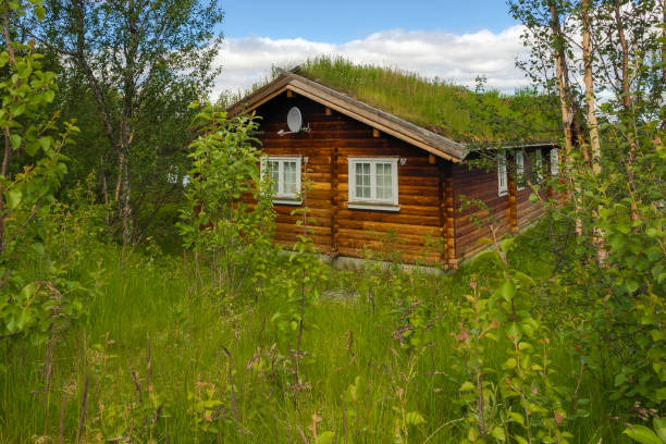 Norwegian house with grass on the roof on handarger fjord