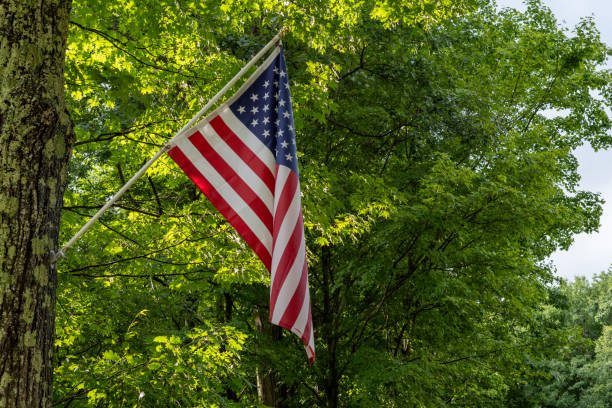 istock American Flag in the forest 2190873433
