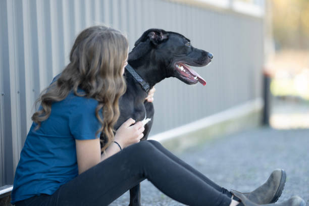 istock A Girls Best Friend! 2190873715