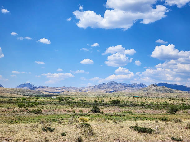 The Davis Mountains in West Texas emerge out of the Chihuahuan Desert, rising to heights in excess of 8,000 feet.  They are volcanic in nature and harbor some of the most diverse habitats in the Lone Star State.