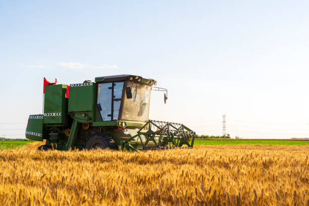 istock combine harvester working on a wheat field 2190878744
