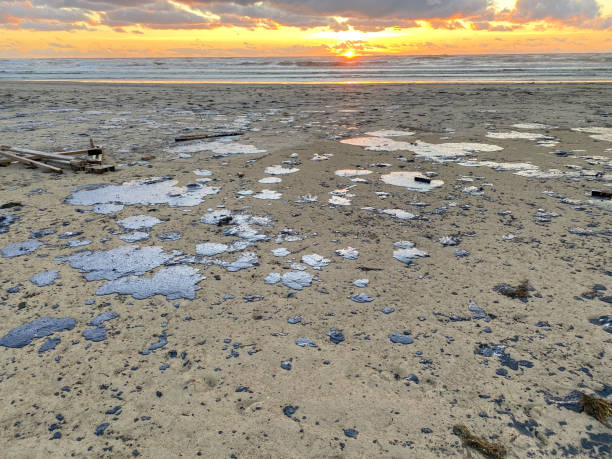 Mazut on sandy beach at sunset. Sea pollution, ecological disaster