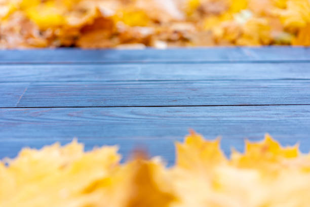 istock Empty wooden table nature bokeh background with autumn yellow maple leaf boarder Template mock up for display of product Copy space 2190879813