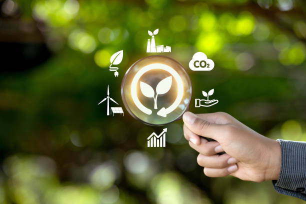 istock A hand holding a magnifying glass over a green circle with a leaf 2190881840