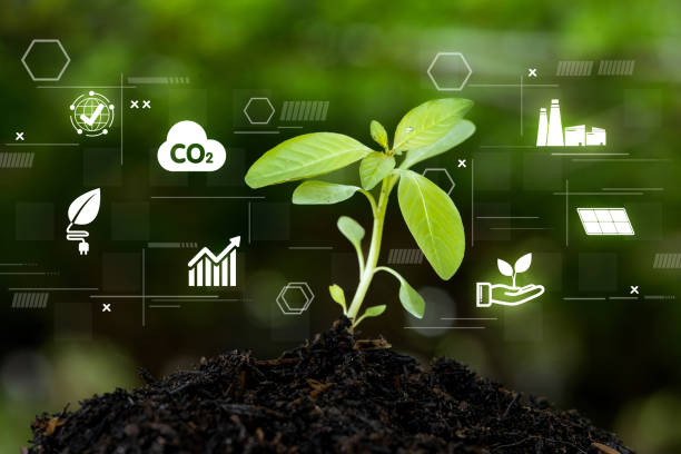 istock Trees are growing in a plot of land, surrounded by icons about nature 2190881999
