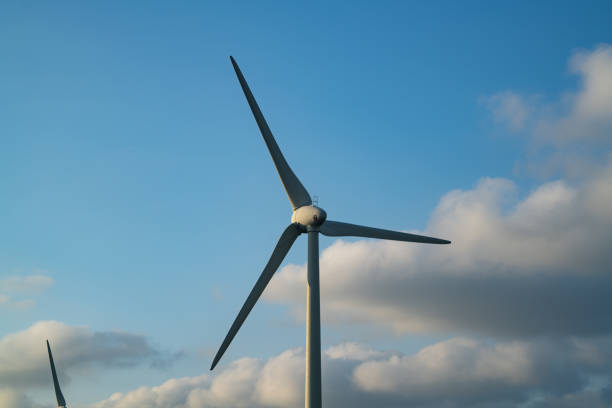 Wind turbine generator for renewable electrical energy production