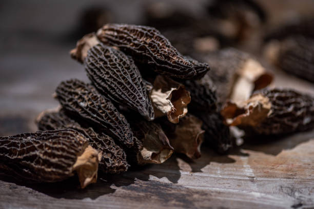istock Dried morel mushrooms in dark light 2190882496