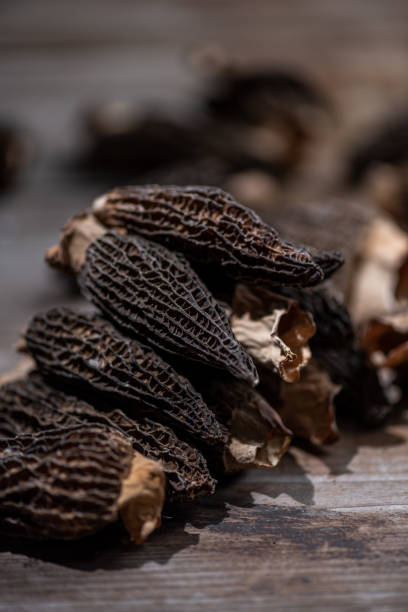 istock Dried morel mushrooms in dark light 2190882498