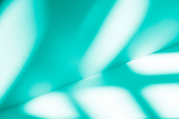 Studio style background wall decoration presentation uses white and green tones. with shadows cast from a nearby window, concept creating a decorative