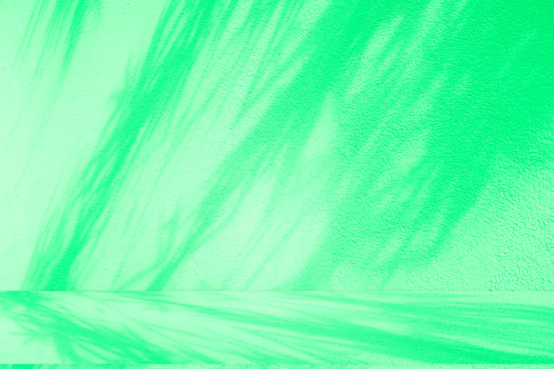 istock Studio style background wall decoration presentation uses white and green tones. with shadows cast from a nearby window, concept creating a decorative 2190884465