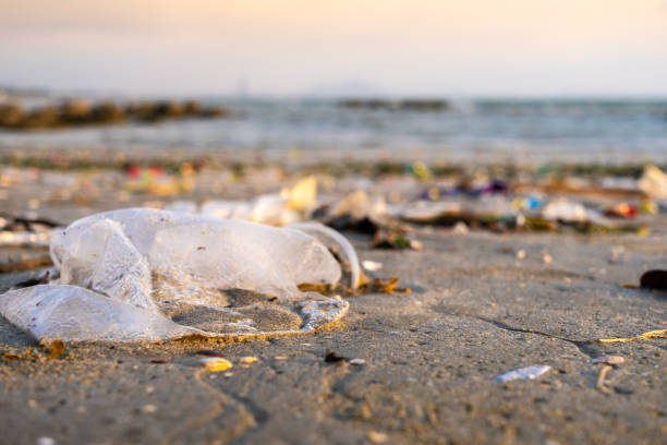 istock Trash, plastic cups and plastic bags at the beach. environmental problem concept and healing the world 2190884466