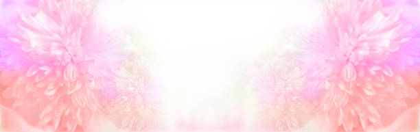 Soft blurred floral pink gradient colors. Luxury wide  banner with copy space. Bouquet of flowers. Celebrated holidays, Mother's Day, Wedding, Birthday, Anniversary, Valentines Day. Congrats