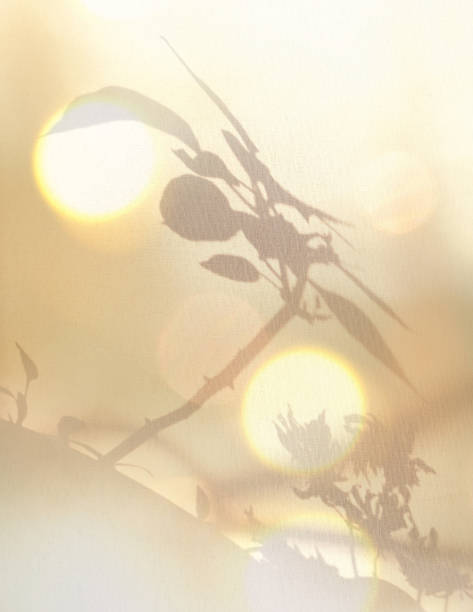 istock Light and shadow sunset on retro beige fabric texture. Flowers and sunlight flares bokeh. Vintage textile background. 2190888777