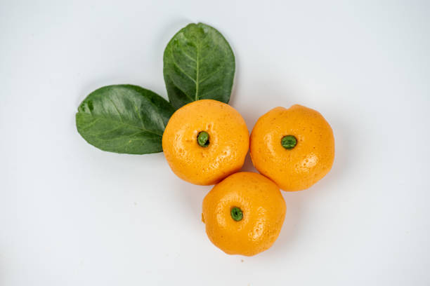 Green leaves and buns shaped like oranges on a white background
