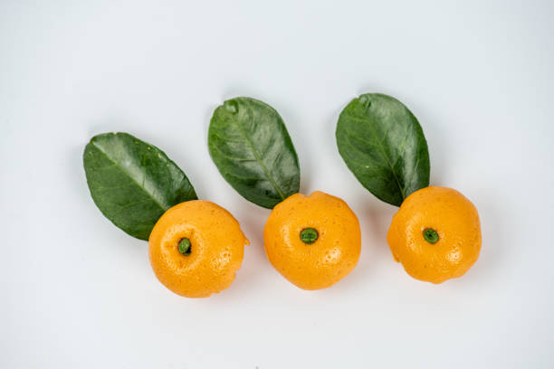 Green leaves and buns shaped like oranges on a white background