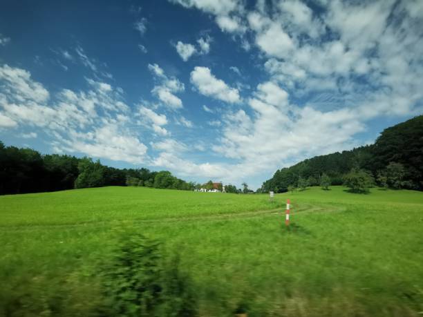 Scenic View of Nature