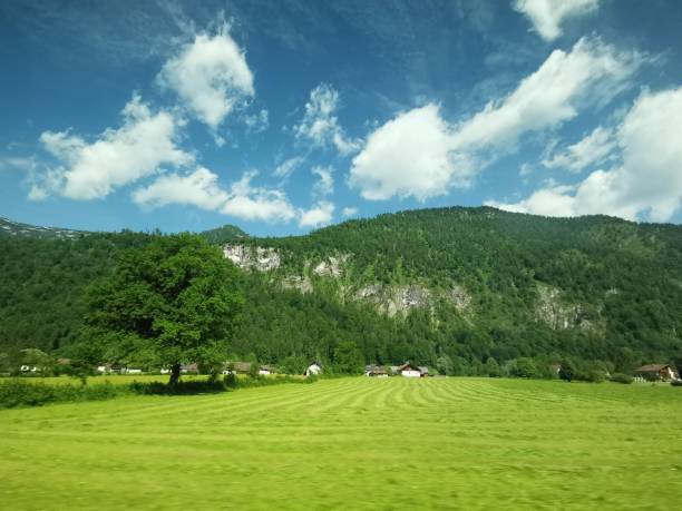 A light glimmering in the small lonely house in the middle of a green field