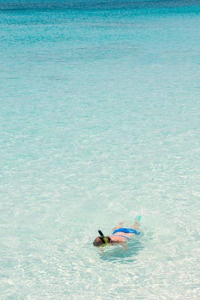 Snorkeling on a deserted island/cay, eastern Providenciales, Turks & Caicos Islands