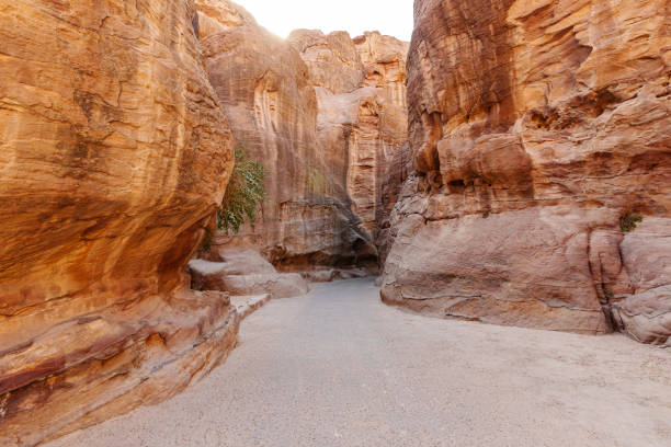A scenic desert passage featuring towering rock formations with vibrant natural hues and textures.