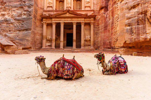 istock Two Camel at the Treasury, Petra, Jordan 2190899924
