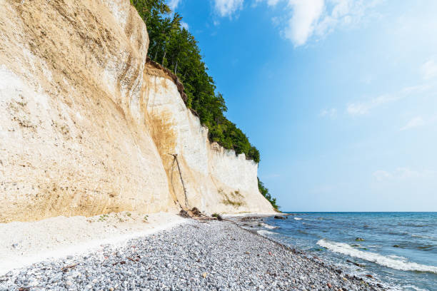 View to the famous natural landmark called Königsstuhl. The most famous of the chalk rocks that make up the Stubbenkammer cliff located in the Jasmund National Park on the island of Rügen, Baltic Sea, Germany.