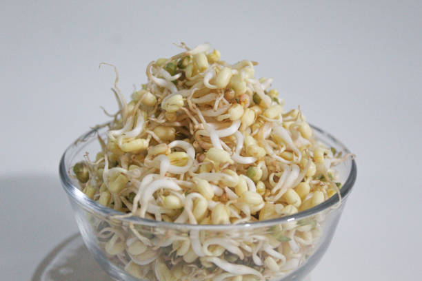 istock Mung bean sprouts, inside a transparent bowl, isolated on white background. Fresh and uncooked 2190904775