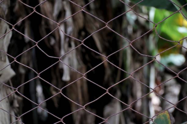 A close-up captures a section of a weathered wire mesh fence.