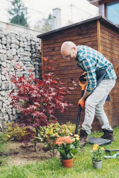 istock Gardener digging a hole for a plant in a flower bed 2190907060