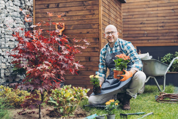 istock Happy gardener adding flowers to the flower bed in the fall 2190907061