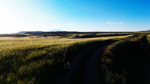 Cyclist enjoys a peaceful ride through vast green fields, heading towards majestic mountains bathed in the warm glow of the setting sun