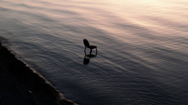 Lonely chair stands in the calm water of a lake at sunset, creating a serene and melancholic atmosphere