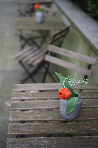 istock Close-up of a single tulip on a table 2190916429