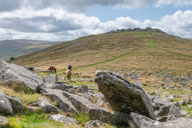 istock Belstone Tor in Dartmoor National Park, Devon, United Kingdom 2190919145