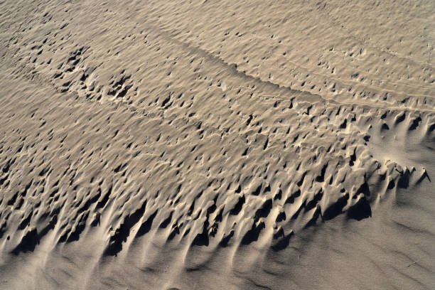 An intricate, unusual, relief sand surface by the sea, created by the influence of sea wind and rain, a textured, unusual background.