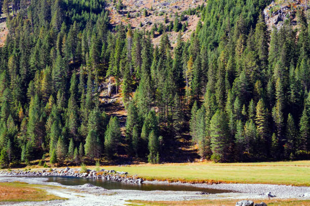 istock Stream of clean water 2190921558