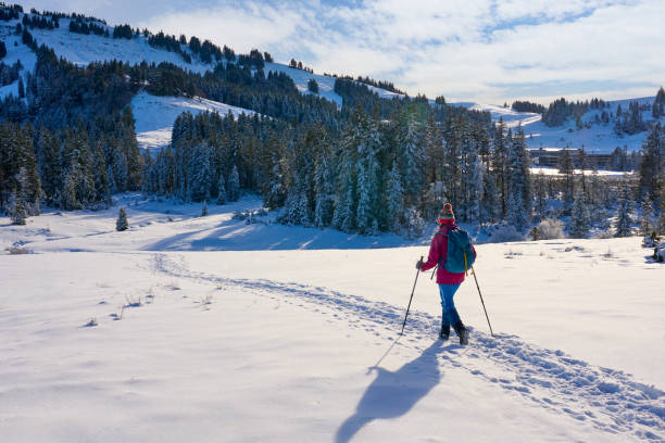istock woman hiking with in deep powder snow in the Bregenz Forest, Austria 2190931775