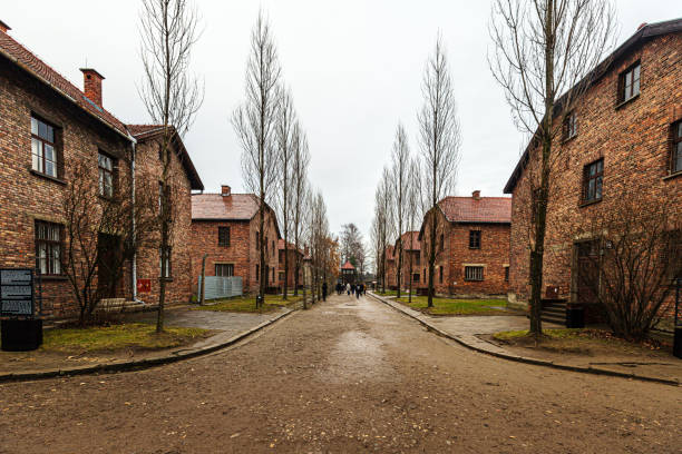 Auschwitz, Poland - December 3, 2018: This image showcases the orderly, symmetrical streets lined with brick barracks in Auschwitz I. Once housing prisoners under dire conditions, these structures now stand as solemn reminders of the camp's history. The barren trees and quiet atmosphere emphasize the starkness of life within this tragic chapter of humanity's past.