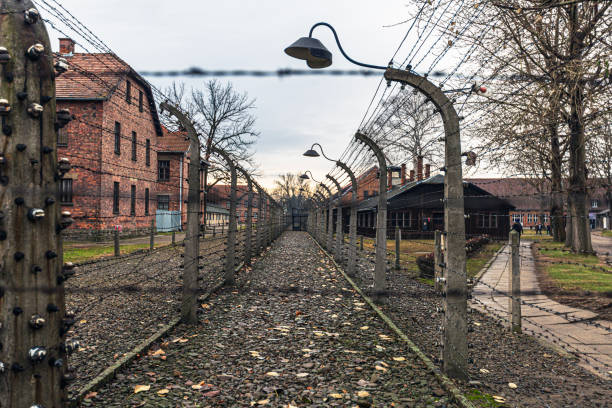Auschwitz, Poland - December 3, 2018: This image captures the electrified barbed wire fences that encased Auschwitz I, symbolizing the inescapable imprisonment faced by its victims. The cold, linear geometry of the fences contrasts with the haunting stillness of the surroundings, reminding visitors of the oppressive control and despair experienced within these confines.