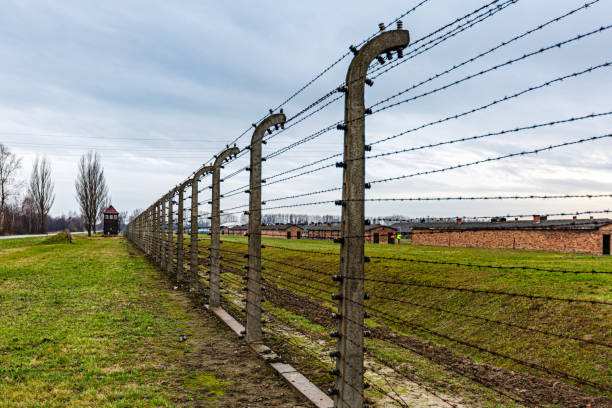 Auschwitz, Poland - December 3, 2018: This image highlights the electrified barbed wire fences encircling Auschwitz-Birkenau, a chilling symbol of confinement and control. Stretching into the distance with a guard tower visible, the stark fence serves as a powerful reminder of the inescapable reality faced by the victims within the camp.